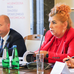 Uczestnicy posiedzenia plenarnego WRDS poświęcono głównie sytuacji w systemie publicznej ochrony zdrowia.